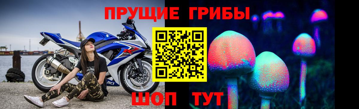 Грозный  Псилоцибиновые грибы мицелий  Вход с VPN  цены   Псилоцибиновые грибы мицелий 